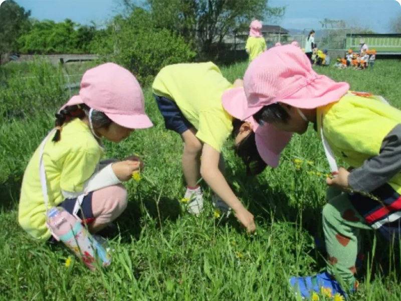 園児が芝生で遊んでいる画像