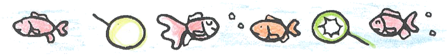 金魚すくいのイラストの飾り帯