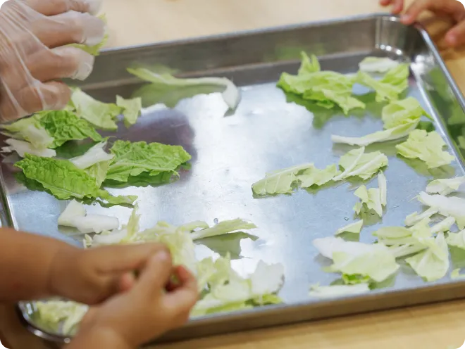 白菜の調理で食育をしている画像