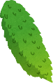 ゴーヤのイラスト